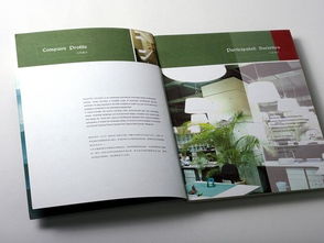 廣州專業畫冊設計與軟件開發 品牌建設的雙翼