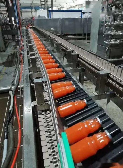 昌吉高新區 以精深加工引領產業升級，塑料化糞池助力綠色農業增長